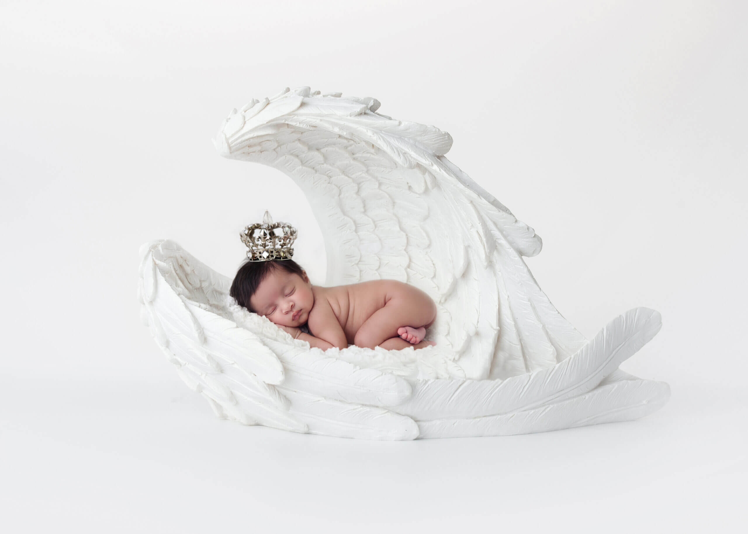 dove photography studio newborn gallery16