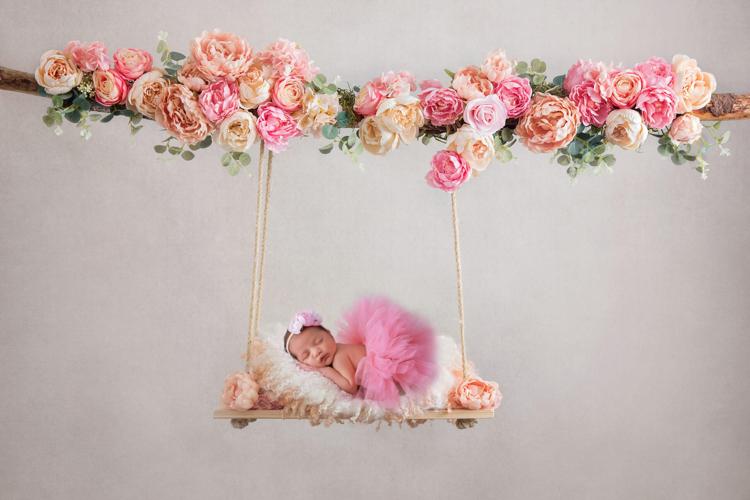 dove photography studio newborn gallery18