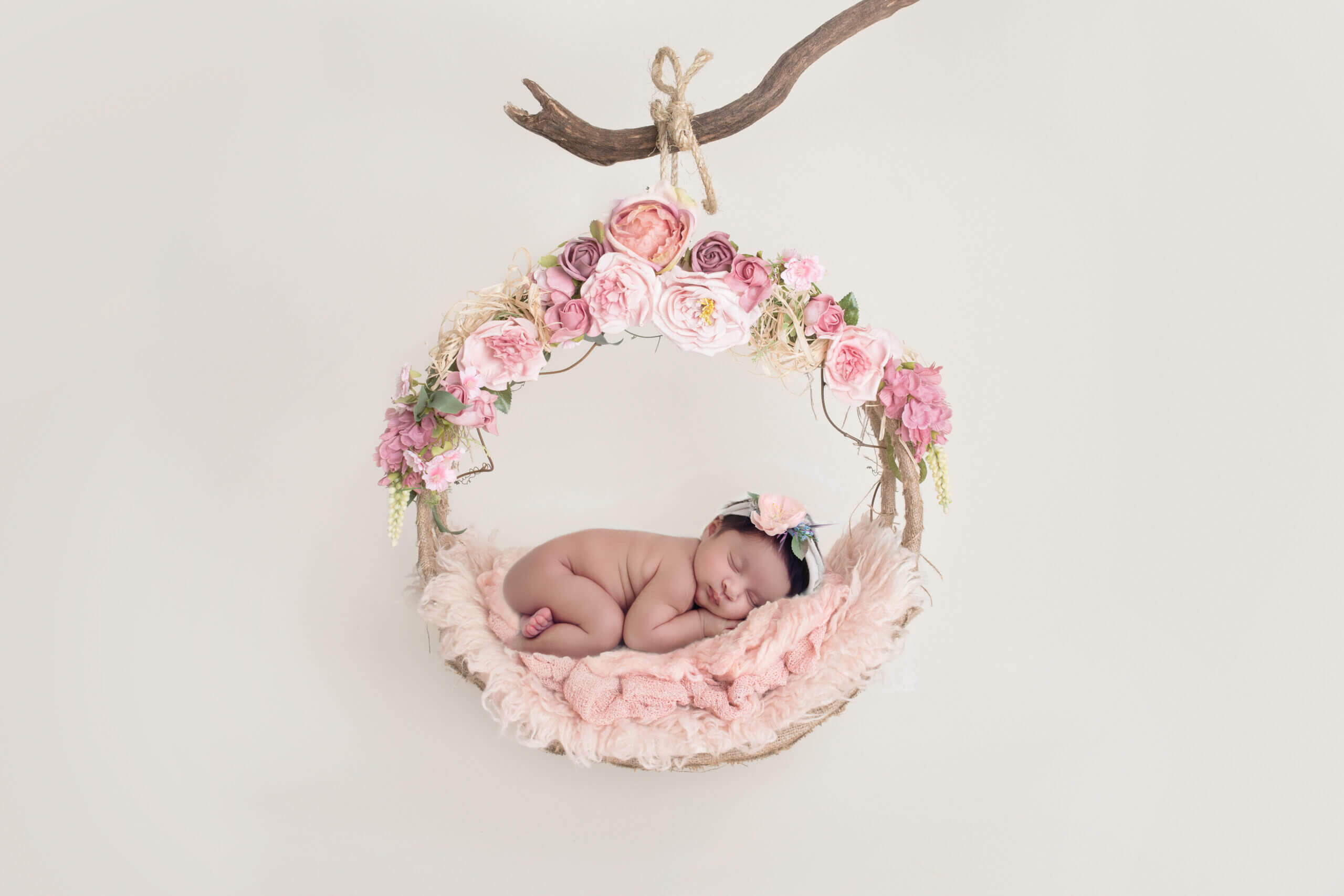 dove photography studio newborn gallery20