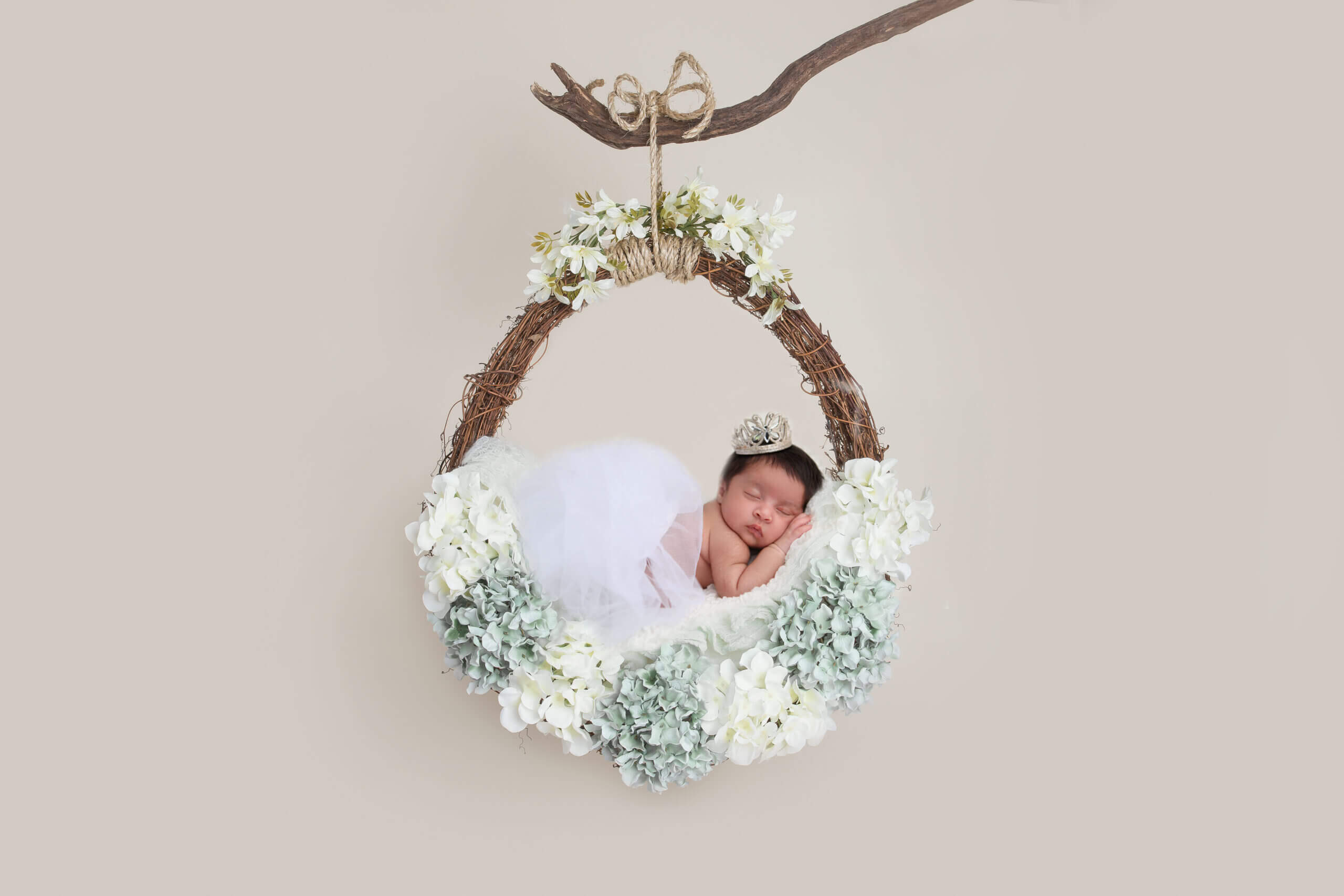 dove photography studio newborn gallery23