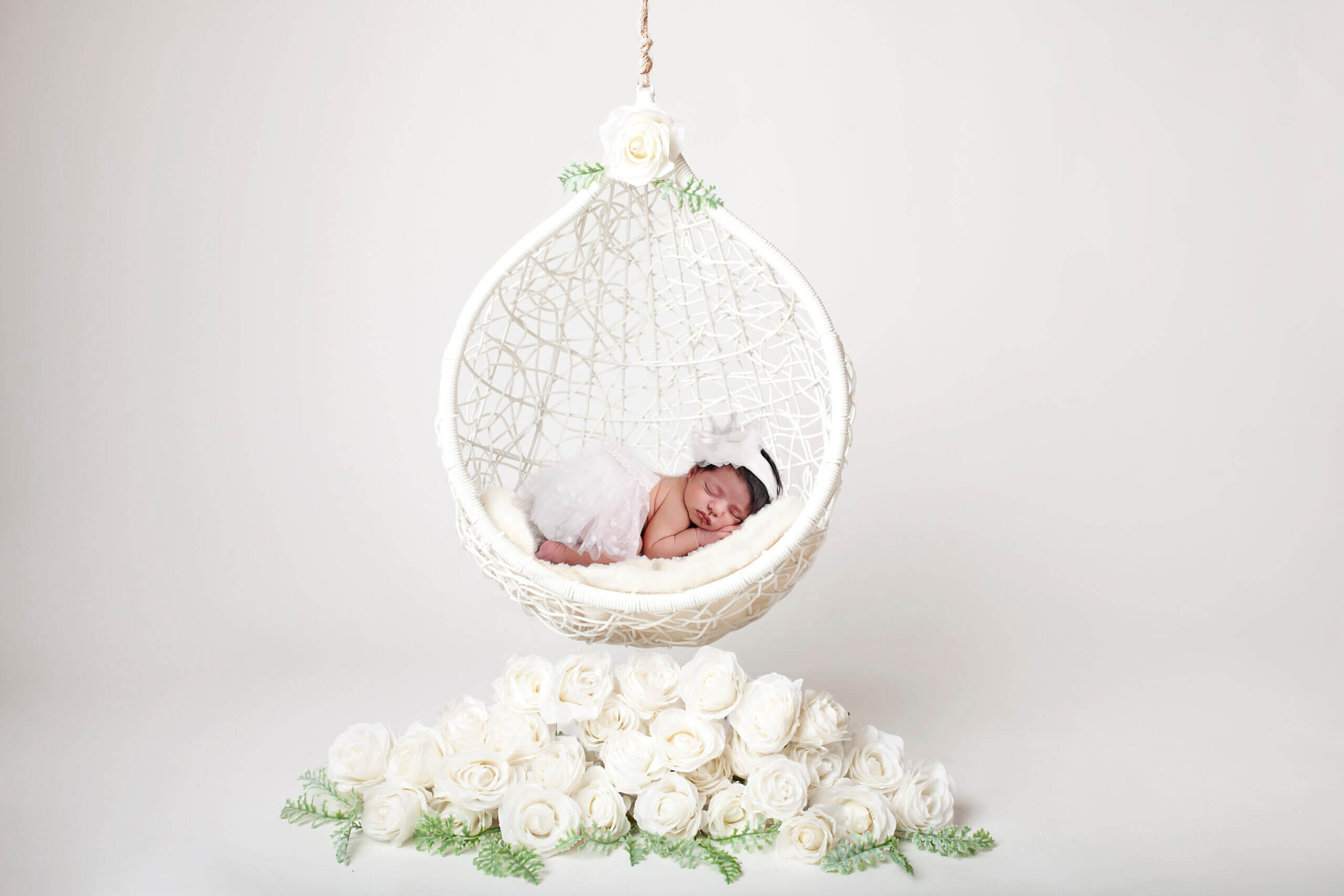 dove photography studio newborn gallery25