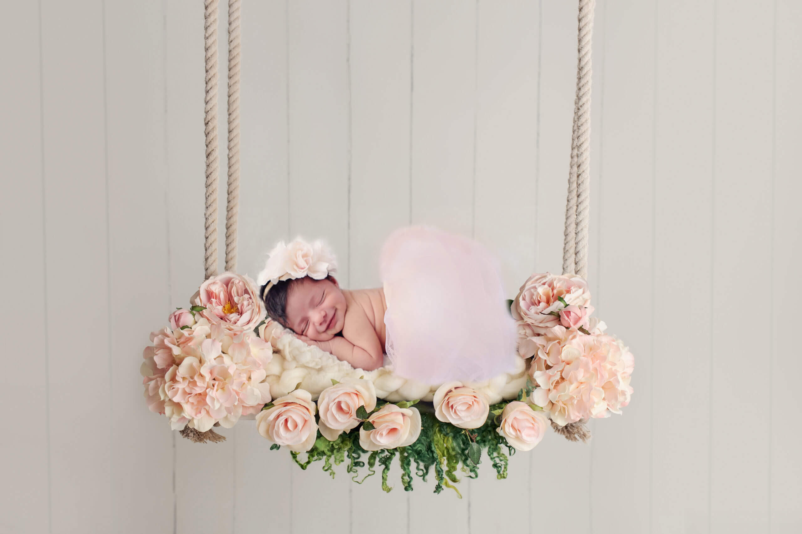 dove photography studio newborn gallery26