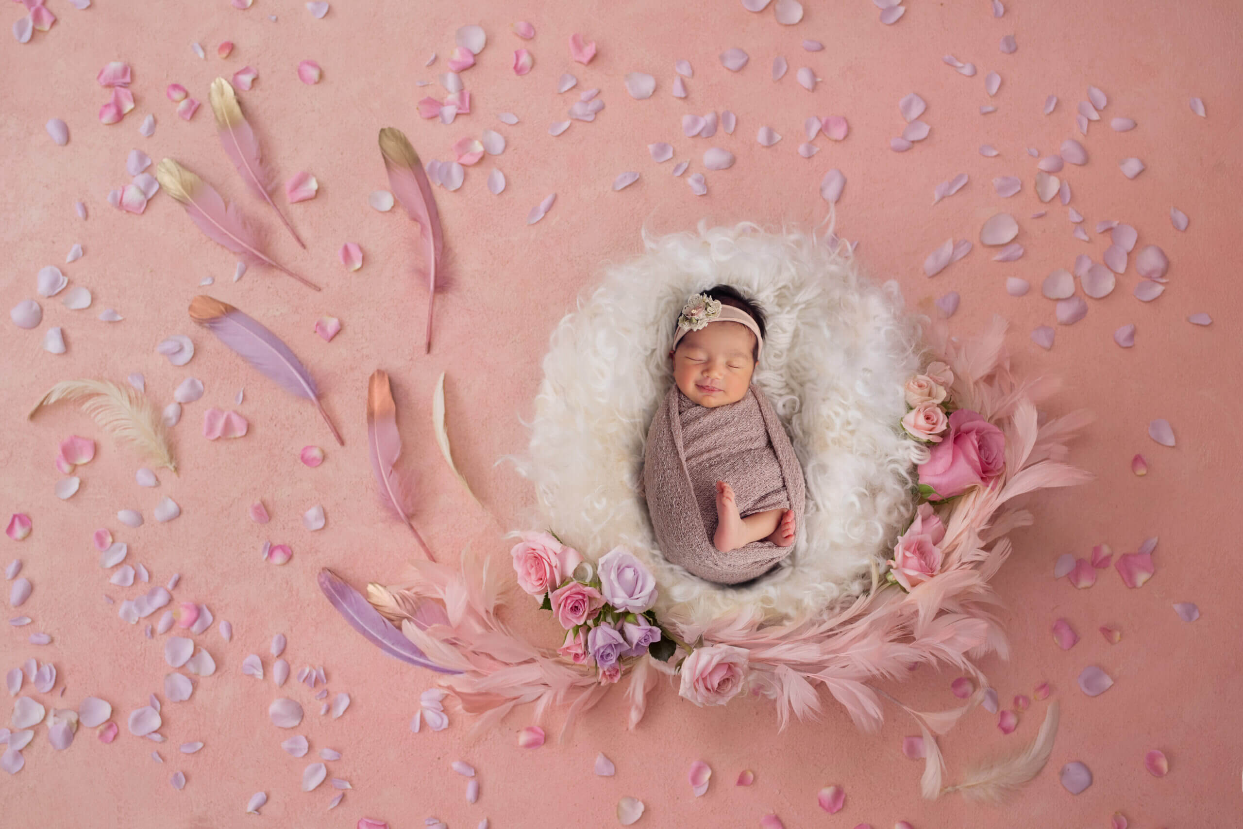 dove photography studio newborn gallery5