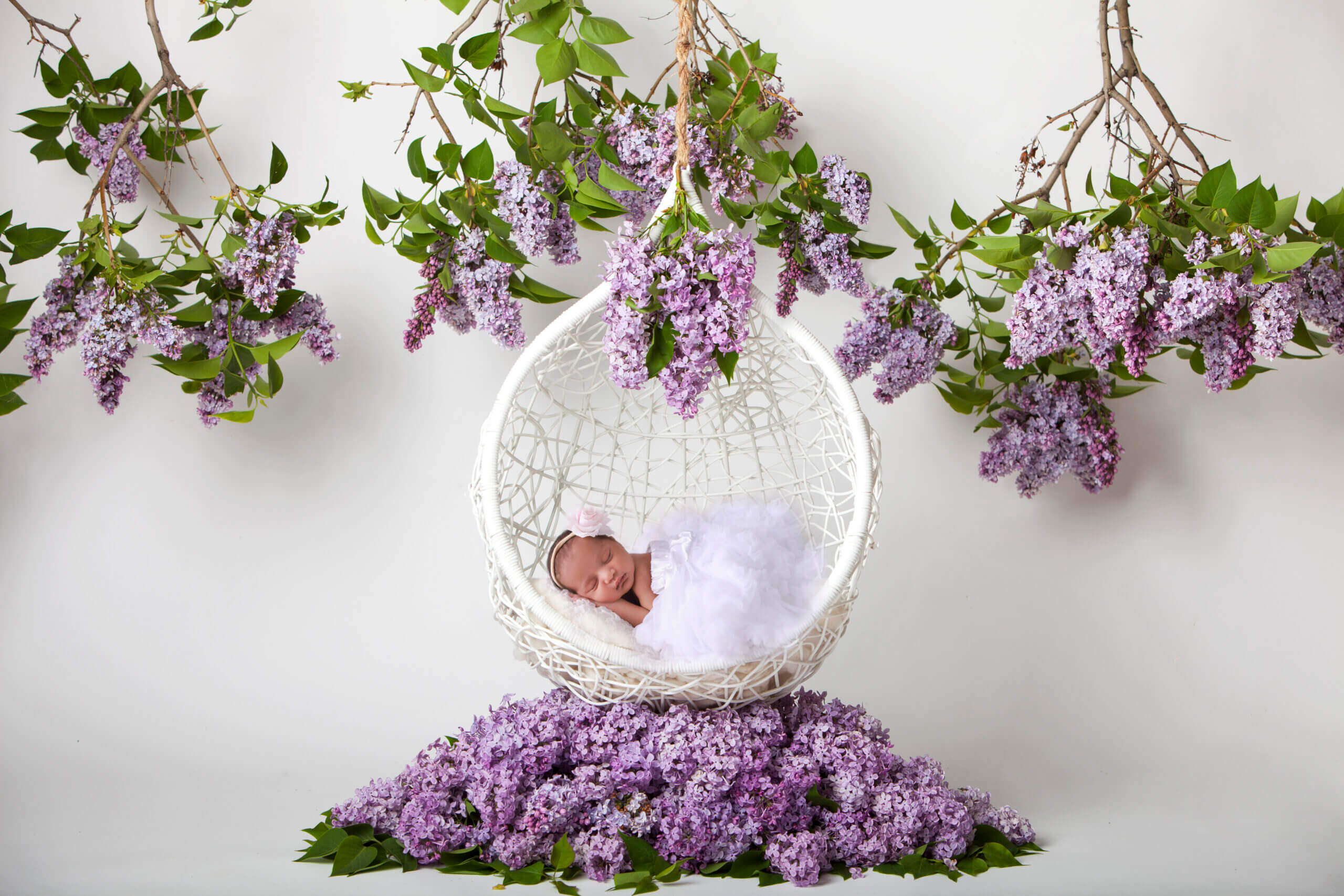 dove photography studio newborn gallery6