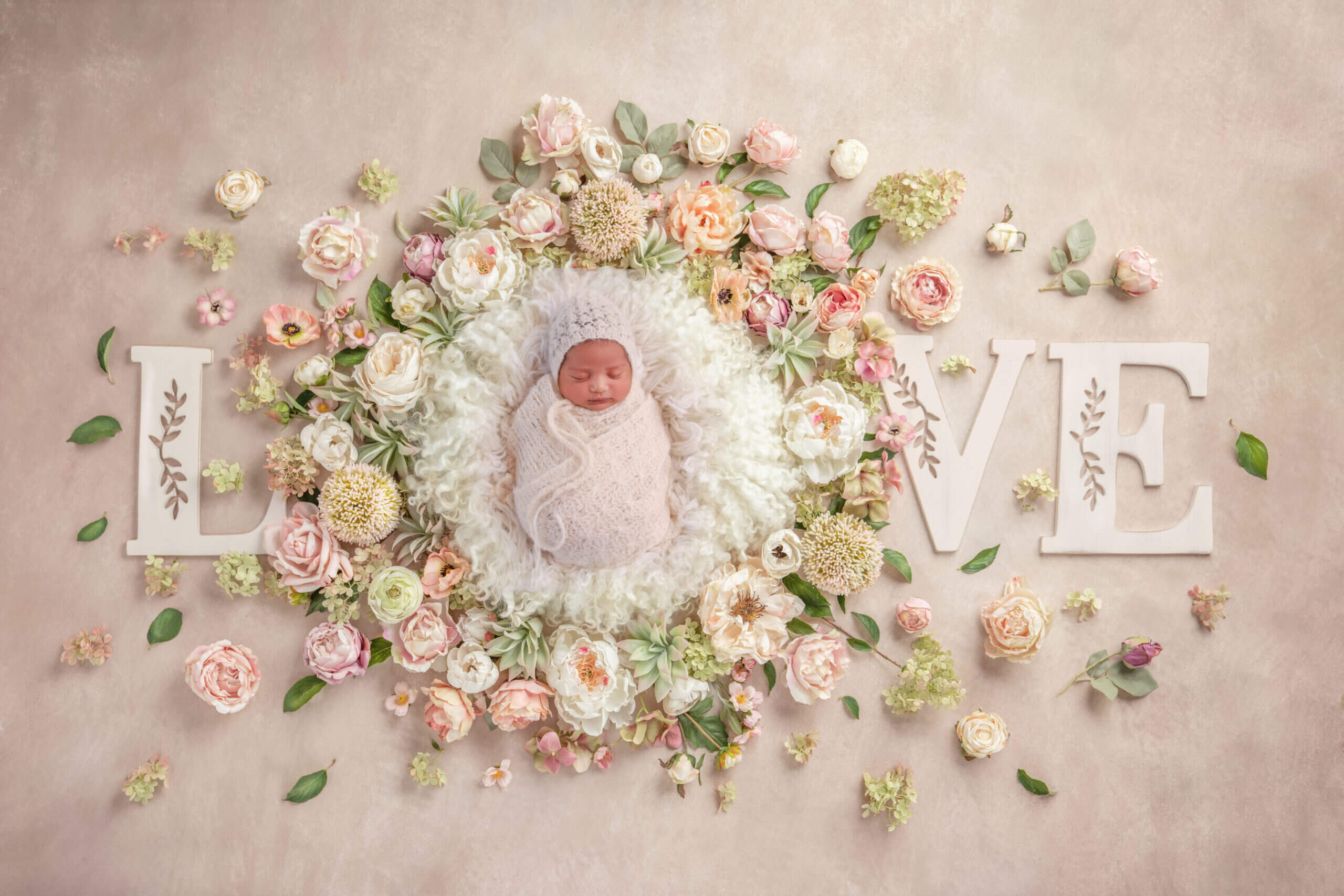 dove photography studio newborn gallery7