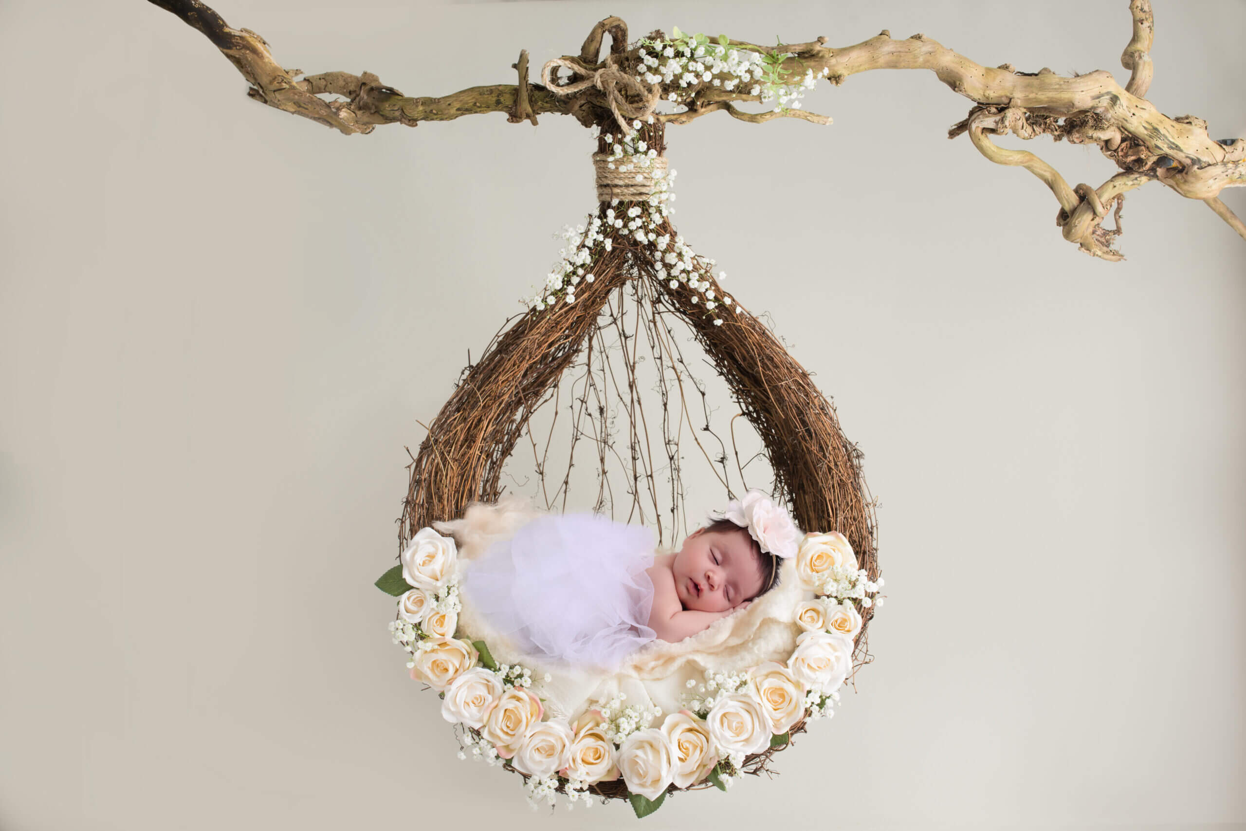 dove photography studio newborn gallery8